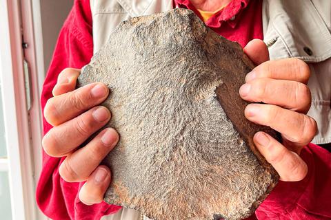 Auf den ersten Blick erkennt der Laie nicht, dass dieser Stein etwas Besonderes ist, der Archäologe gerät jedoch ins Schwärmen.  Foto: Jenny Berns 