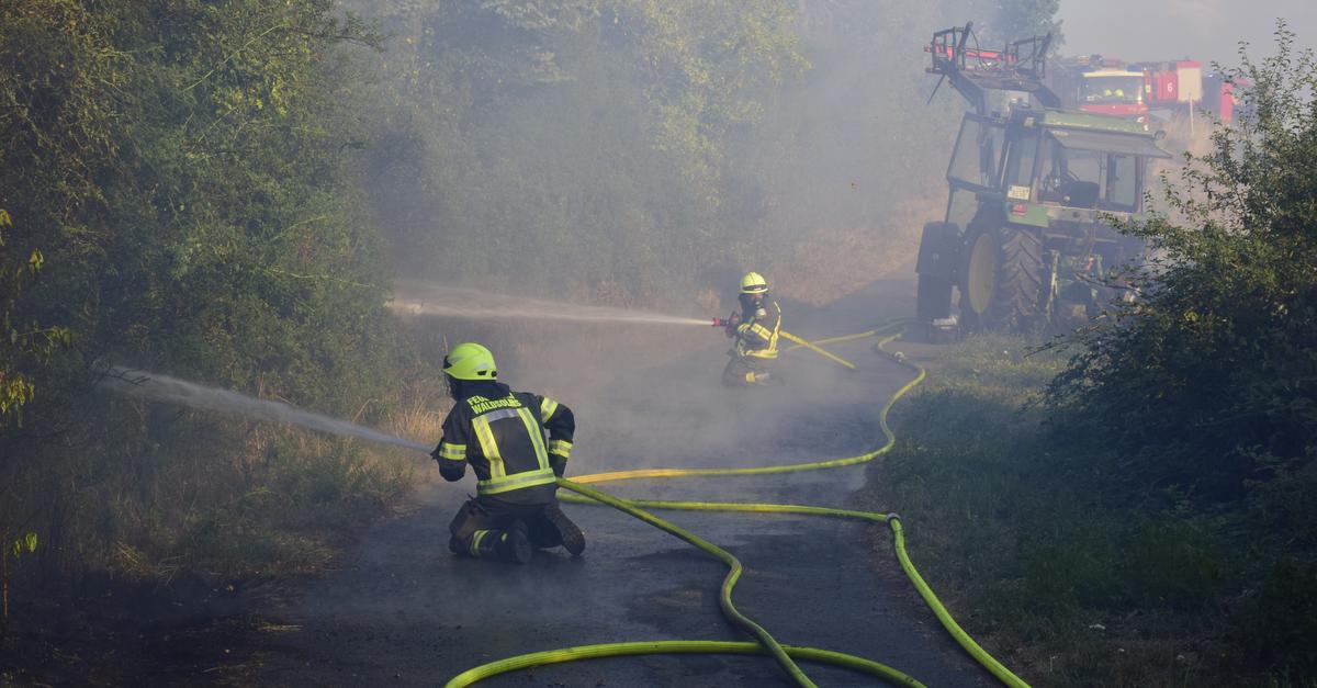 Waldbrand in Waldsolms: Feuerwehr mit Großaufgebot im Einsatz