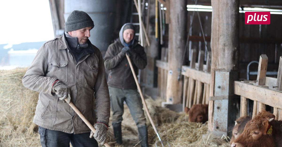 Landwirtschaft im LDK: Überlebenskampf ohne Perspektiven?