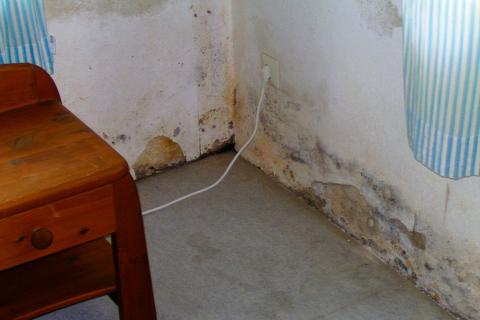Feuchte Wände schaden dem Wohlbefinden und im schlimmsten Fall der Gesundheit der Hausbewohner. © tdx/MinoPlan
