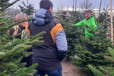 Weihnachtsbaum in Wetzlar kaufen: Preise und Verkaufsstellen