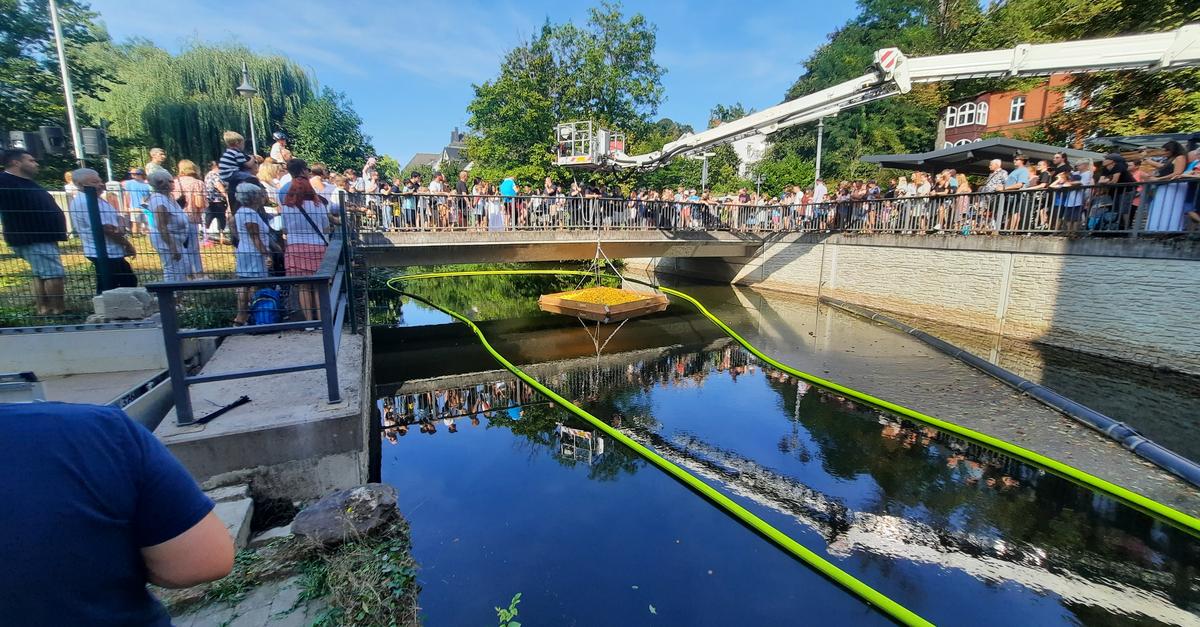 Ente Nr. 3279 macht das Rennen