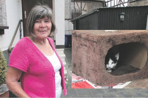 Bärbel Pross (75) kümmert sich um zugelaufene Katzen ihrer erkrankten Verwandten - und sucht Unterstützung. Fotos: Tanja Freudenmann 