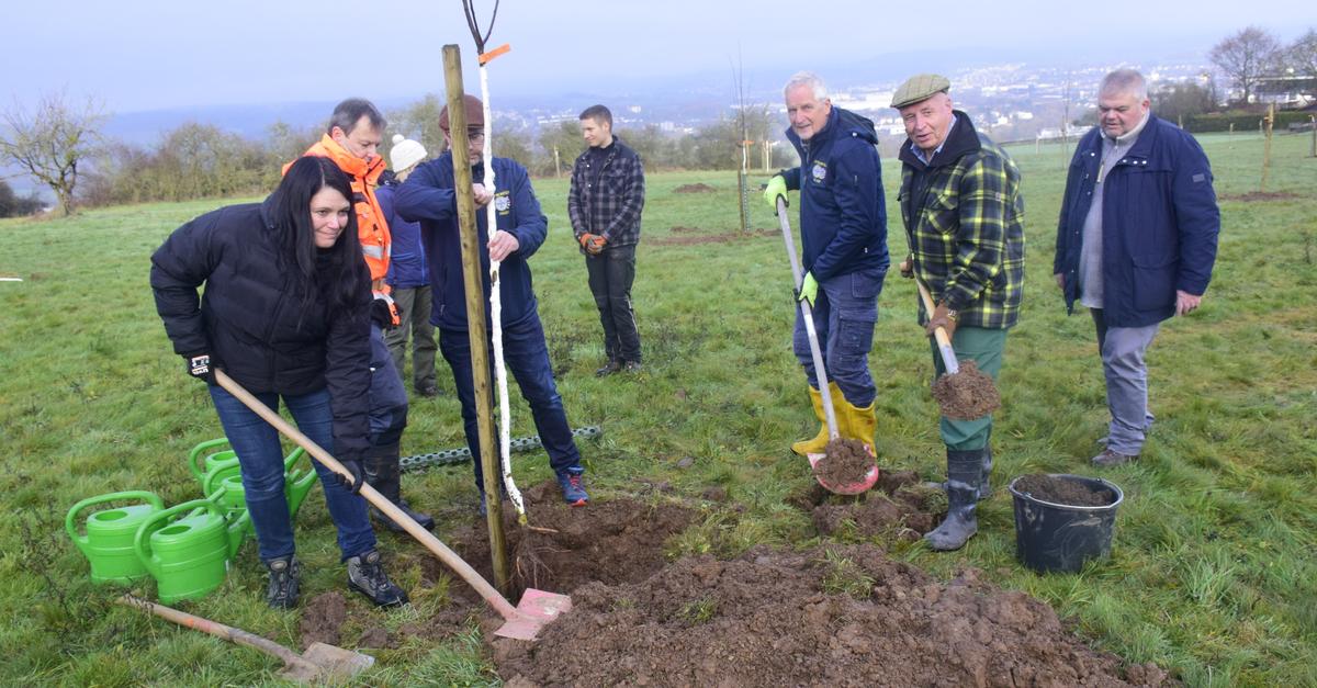 wetzlarer-old-tabler-pflanzen-alte-apfel-und-birnensorten