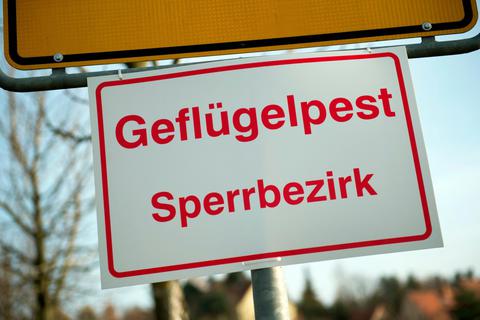In Hüttenberg im Lahn-Dill-Kreis ist die Geflügelpest ausgebrochen. Daher gilt auch in Teilen des Kreises Gießen ein Sperrbezirk. © Arno Burgi/dpa