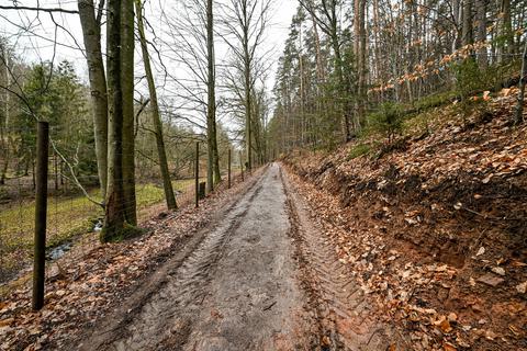 Derzeit ist der Hauptweg im Erbacher Wildpark Brudergrund nur schwer begehbar. Das soll sich auch dank der Spenden aus der Aktion "Echo hilft!" bald ändern.