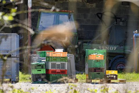 Zwei Jahre wurde der Obst- und Gemüsebetrieb Maus in Gernsheim-Allmendfeld nicht durch den Kreis Groß-Gerau kontrolliert – obwohl zweimal im Jahr Kontrollen vorgeschrieben sind. Foto: Robert Heiler