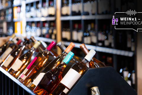 Der Fachhandel bietet eine große Auswahl an unterschiedlichen Weinen an.  Foto: Adobe Stock – JackF