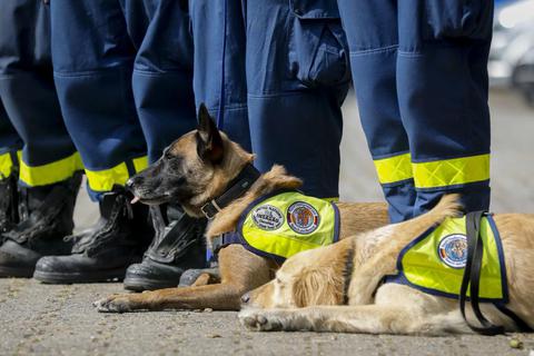 THW-Einsatzkräfte mit Hunden. Foto: Sascha Kopp