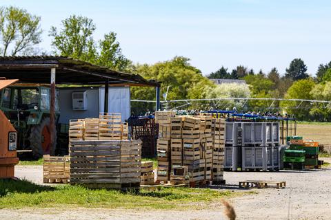 Nach Ansicht von Beatrice Ladewig von der Task-Force Lebensmittelsicherheit gab es angesichts der Größe des Gernsheimer Betriebs zu wenige Proben. Foto: Robert Heiler