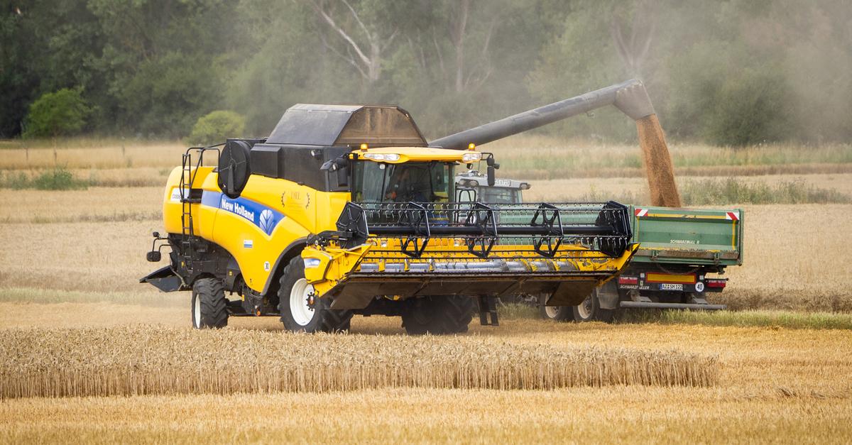 Die-Landwirte-in-Mittelhessen-sind-mit-der-Ernte-zufrieden