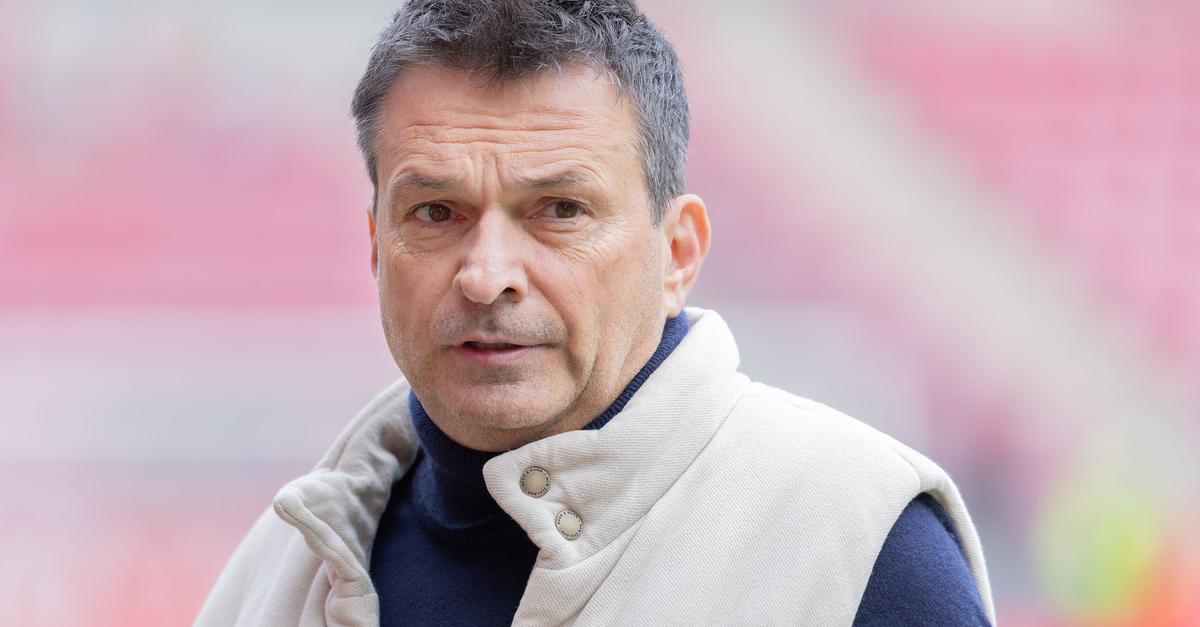 Hoffmann-nur-f-r-ein-Spiel-Interimscoach-in-Mainz