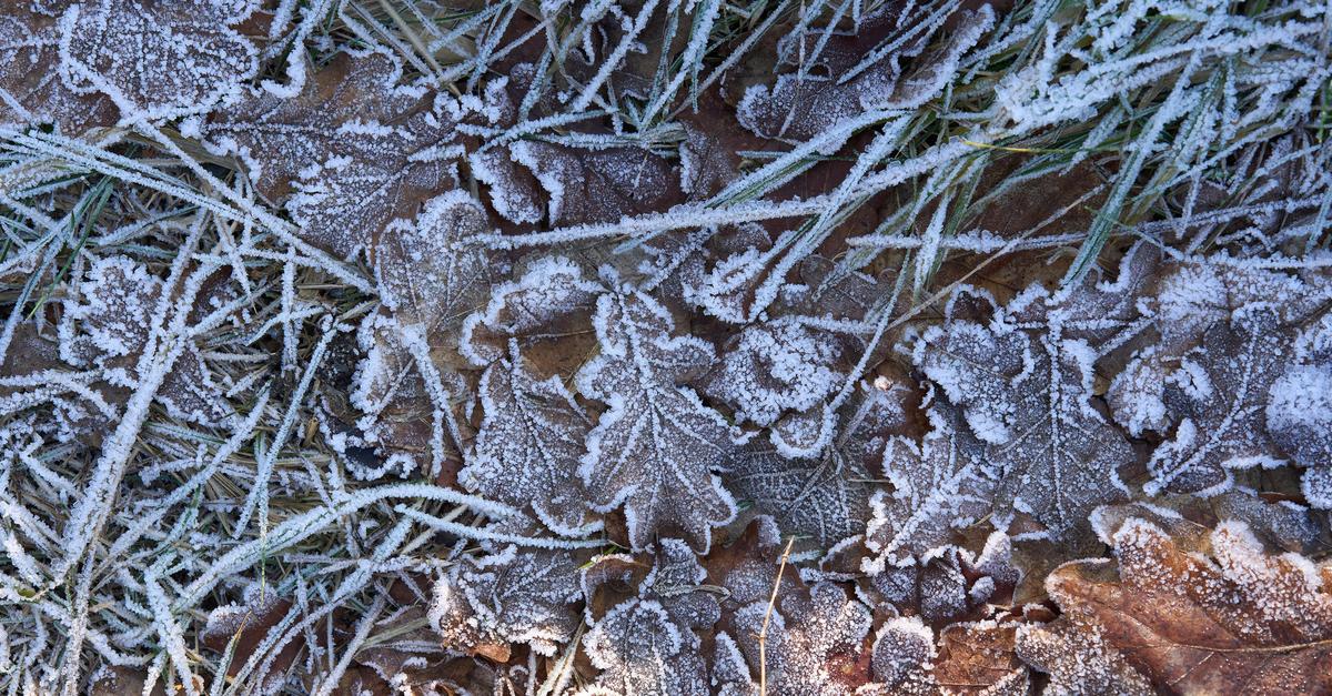 Dauerhafte-K-lte-und-Niederschl-ge-im-S-dwesten-erwartet