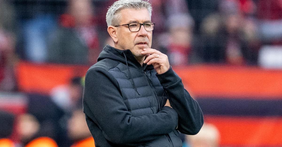 Mainz-05-verpflichtet-Trainer-Urs-Fischer