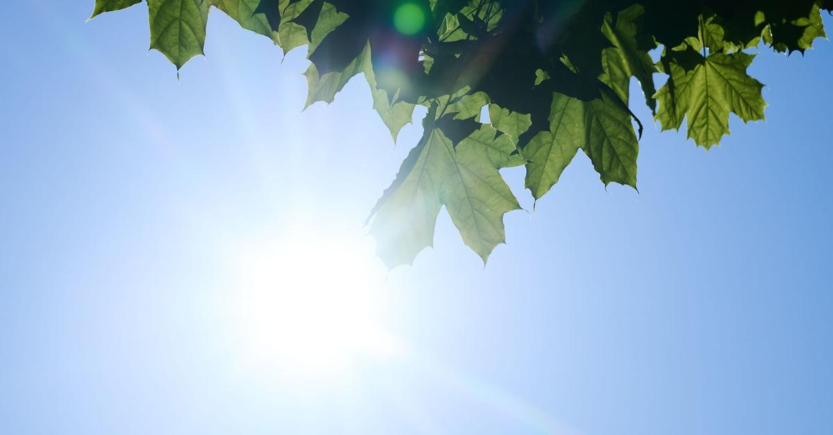 H-chsttemperaturen-bis-37-Grad
