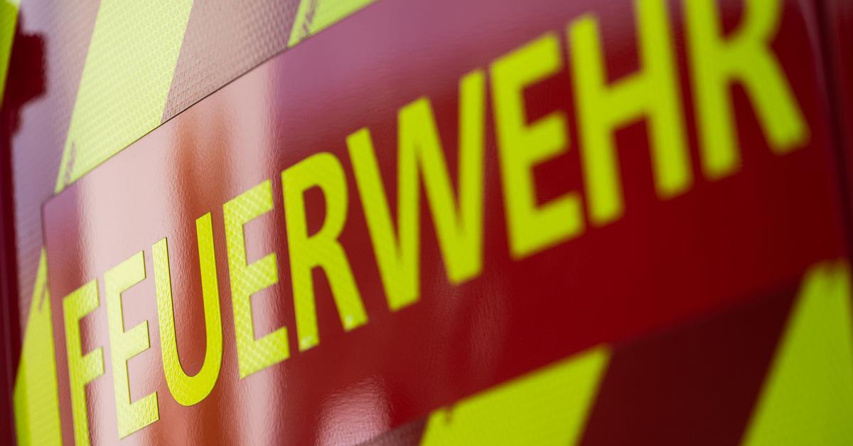 Stromversorgung-in-Mombach-weitgehend-wiederhergestellt