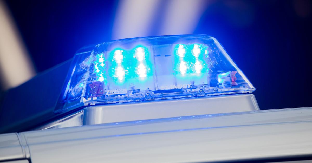 Zug-kollidiert-mit-Baum-Strecke-gesperrt