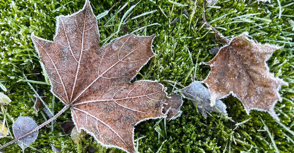 Bis-minus-neun-Grad-Glatteis-droht-am-Sonntag