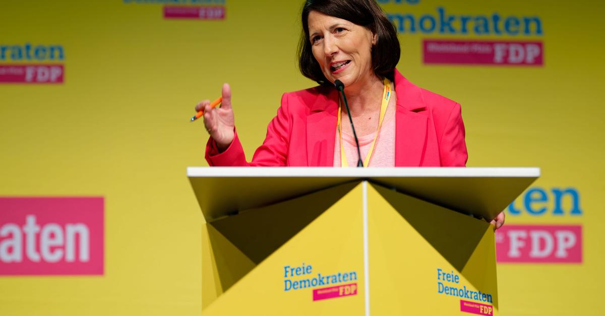 FDP-verabschiedet-Landtagswahl-Programm