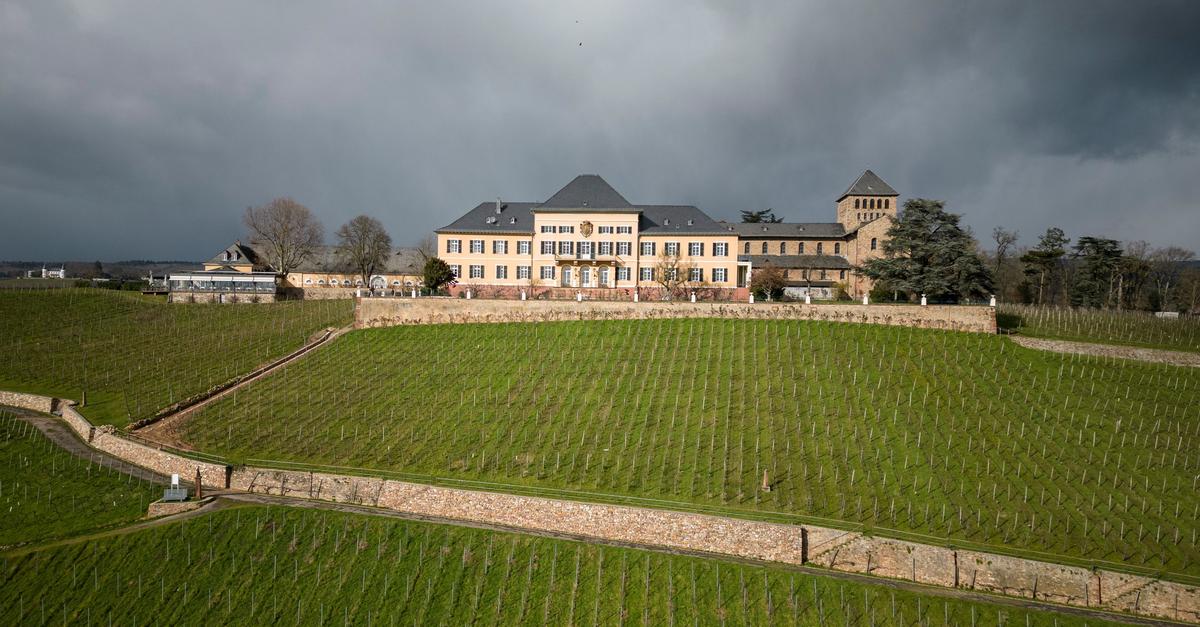 Spott-ber-CDU-Wahltermin-im-Nachbarland