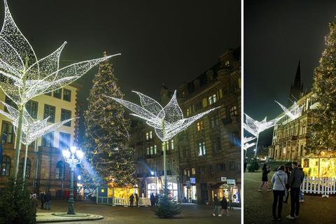 Nicht nur strahlend schön, sondern auch noch 25 Meter hoch ist der Weihnachtsbaum in Wiesbaden - und damit der größte Weihnachtsbaum in Deutschland. Fotos: René Vigneron