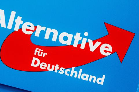 Das Logo der AfD auf einer Parteibroschüre. Archivfoto: dpa