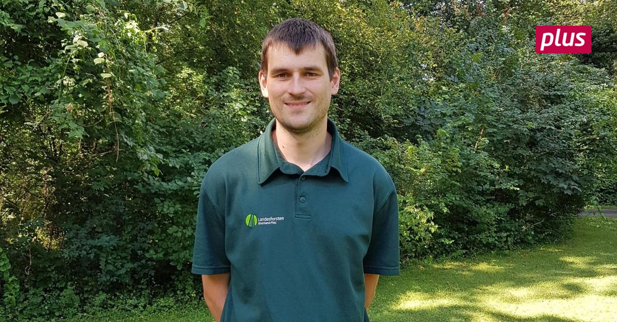 Das Wormser Wäldchen leidet Mittelhessen