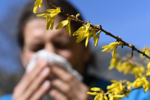 Aus Allergien können schnell ernste Erkrankungen werden. Symbolbild: Angelika Warmuth/dpa