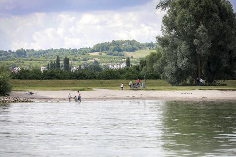 Die Wasserschutzpolizei hat die Rhein-Badestellen zwischen Bingen, Mainz und Oppenheim nach mehreren tödlichen Badeunfällen verstärkt im Blick - hier der Badestrand Heidenfahrt. Foto: Lukas Görlach
