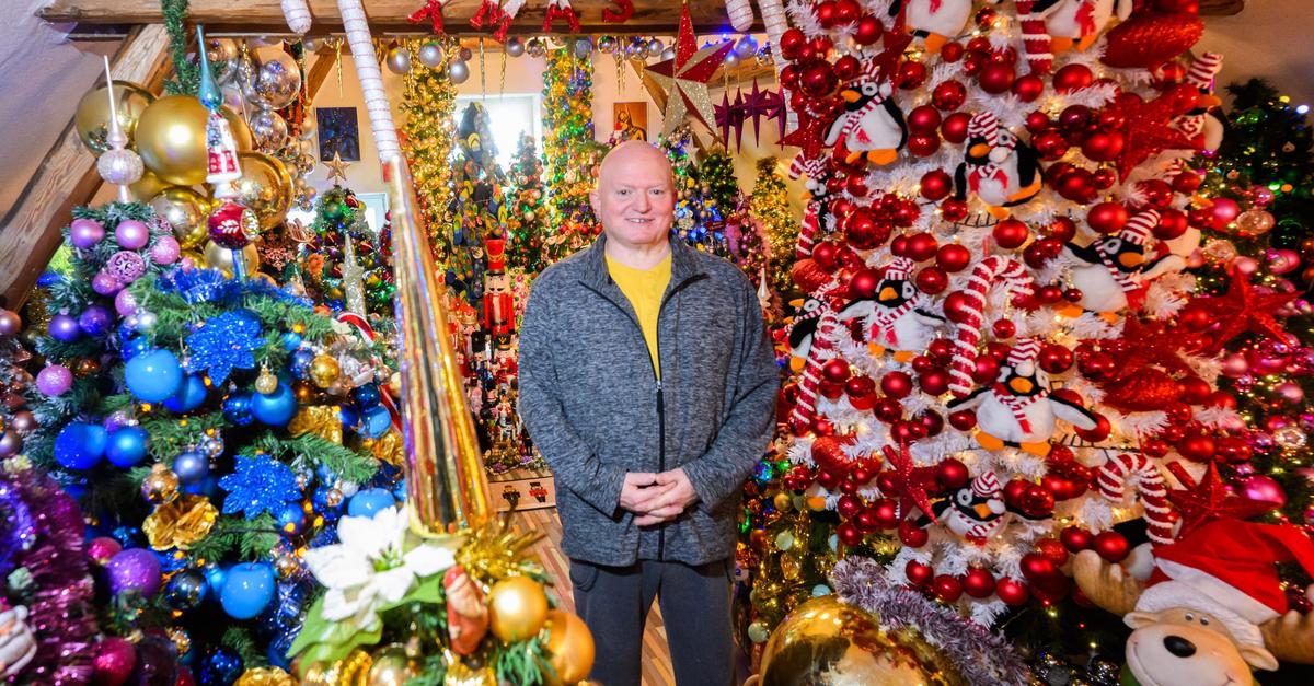 Neuer-Weltrekordversuch-621-Weihnachtsb-ume-im-Haus