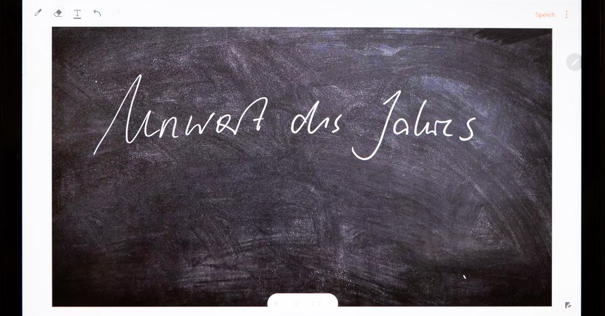 Jury-gibt-Unwort-des-Jahres-2025-bekannt