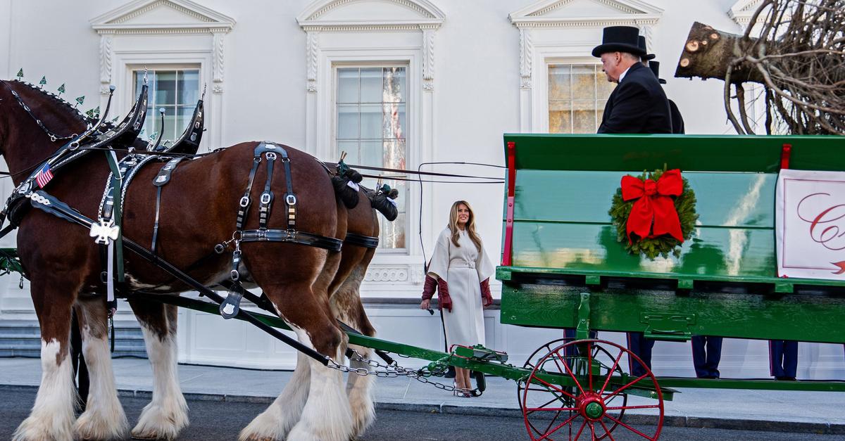 Weihnachtsbaum-und-Truth-hne-im-Wei-en-Haus