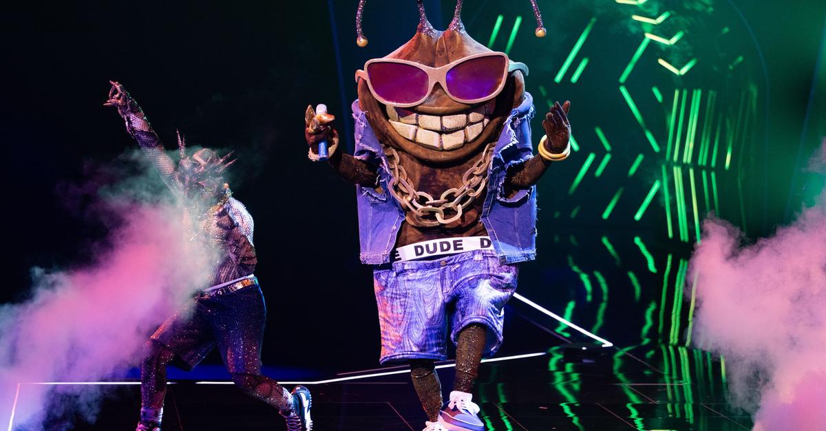 US-Musiker-bei-The-Masked-Singer-ausgeschieden