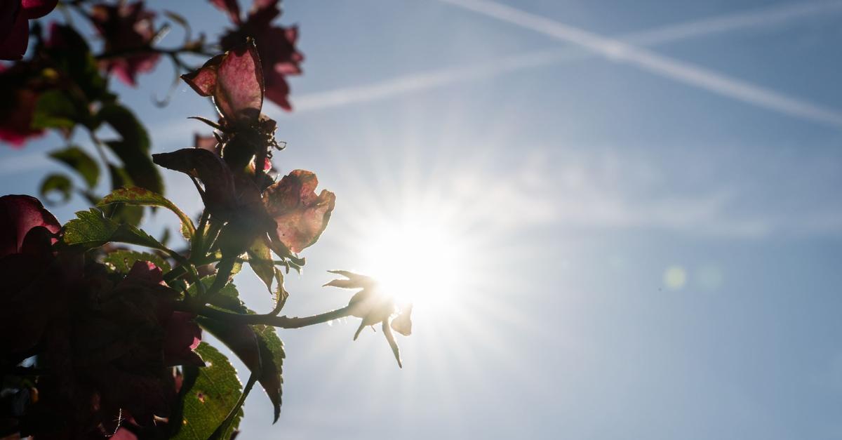 Heatwave update: How long will it stay so hot in Hesse and ...