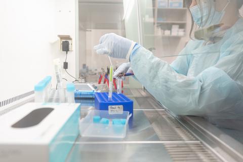 Eine Labormitarbeiterin bereitet Proben für einen PCR-Test vor. Foto: dpa