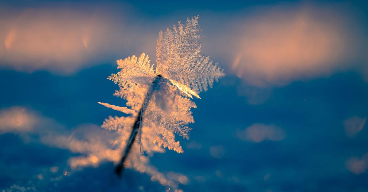 Wohnungslosenhilfe-Lebensgefahr-f-r-Obdachlose-durch-K-lte