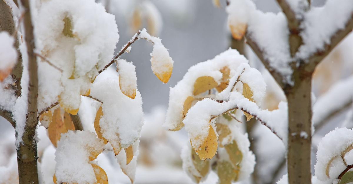 Mancherorts-wird-s-wei-Temperaturen-sinken