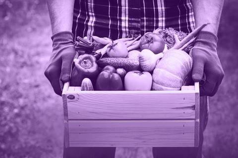 Das alles ist vegan. Foto: juliasudnitskaya / adobe.stock/ vrm/ss