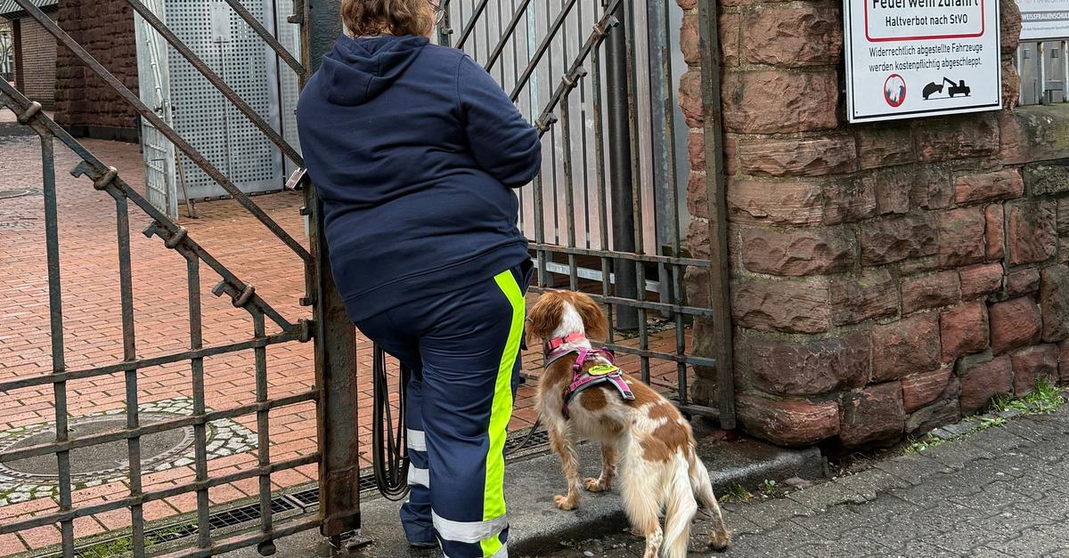 Vermisster-Achtj-hriger-aus-Frankfurt-wohlbehalten-gefunden