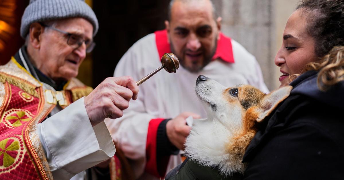 In-Spanien-wird-sogar-eine-Schnecke-gesegnet