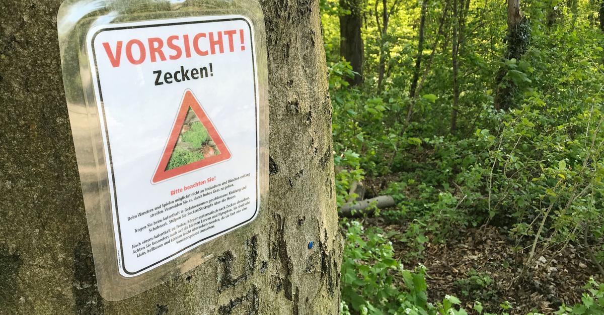 Beware of ticks: TBE cases have increased
