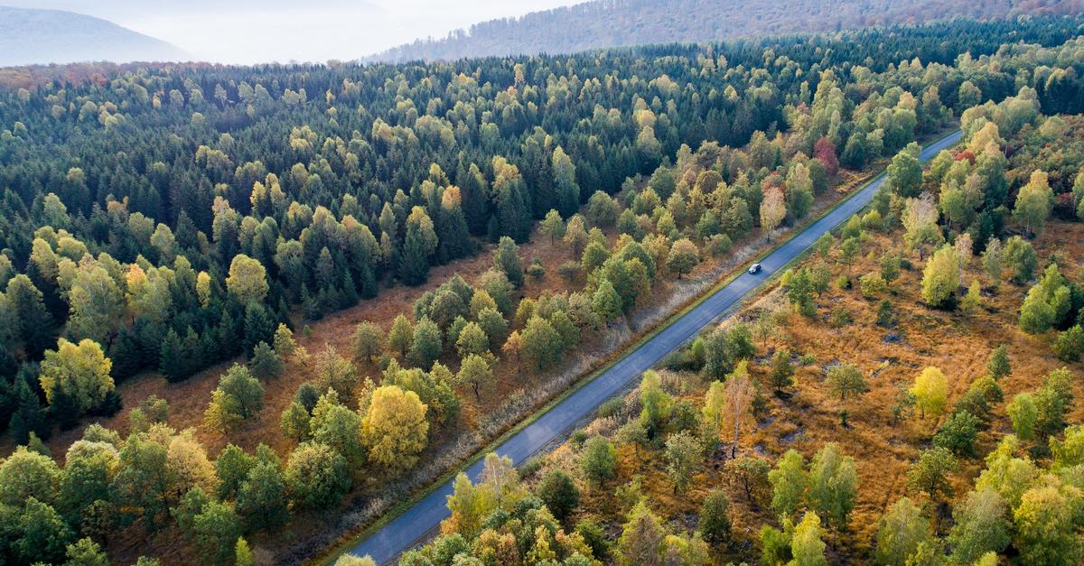 Forschungsbericht-Ohne-CO2-Entnahme-keine-Klimaneutralit-t