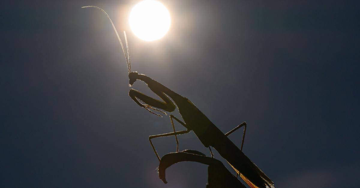 2025-d-rfte-eines-der-drei-hei-esten-Jahre-werden