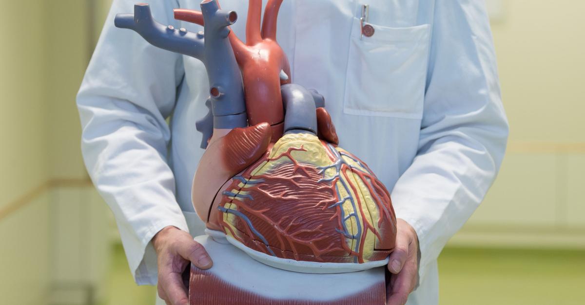 Herz-Kreislauf-Erkrankungen-EU-will-Pr-vention-verst-rken