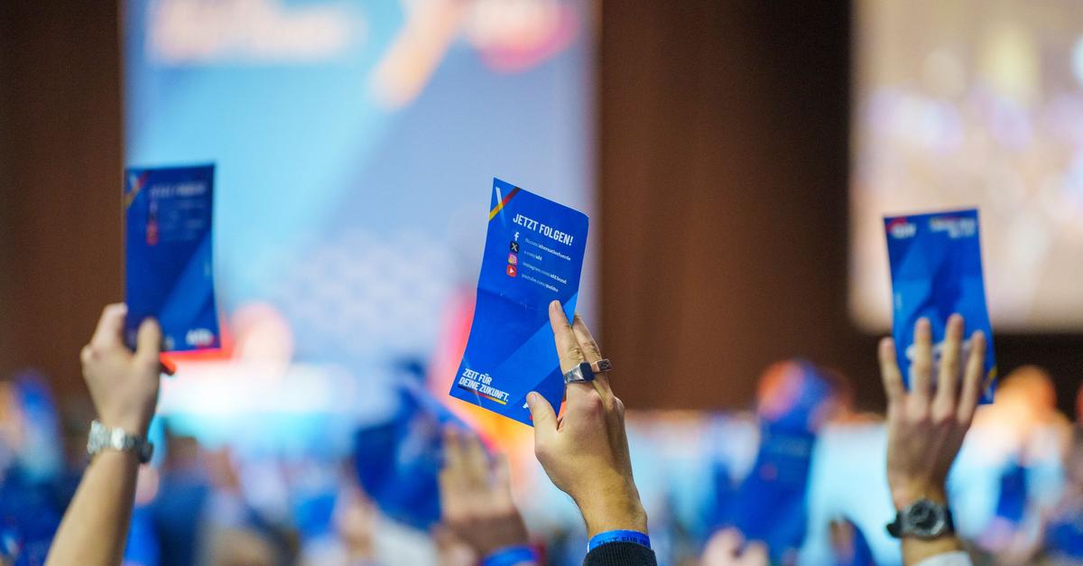 AfD-gr-ndet-neue-Jugendorganisation-Generation-Deutschland