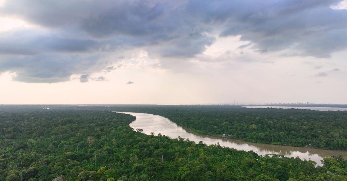 Brasilien-Deutschland-gibt-eine-Milliarde-f-r-Tropenfonds