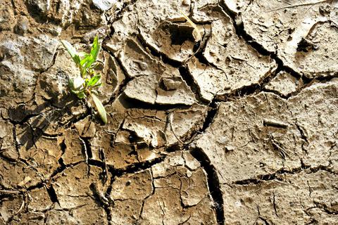 Anhaltende Trockenheit könnte in den nächsten Jahren zu einem gravierenden Problem werden. In Hessen will man sich darauf vorbereiten. Foto: dpa