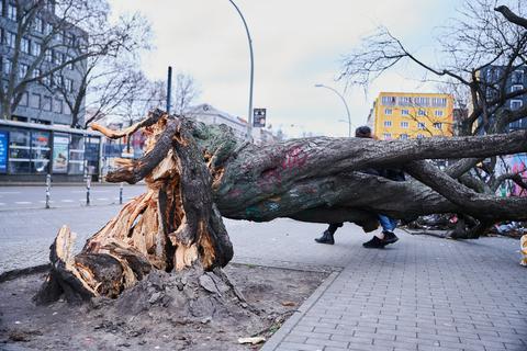 Wie hier in Berlin hatte Sturmtief Zeynep am Wochenende schwere Schäden verursacht und auch kräftige Bäume gefällt. Nun kommt Tief Antonia und soll Orkanböen auch in der Region mit sich bringen.  Foto: dpa