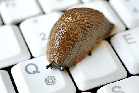 Schnelles Surfen? Schön wär's! In vielen ländlichen Gemeinden in Rheinland-Pfalz ist das Internet lahm wie eine Schnecke. Symbolfoto: dpa
