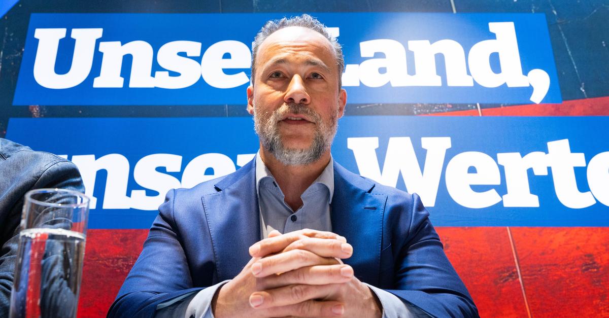 AfD-Rheinland-Pfalz-k-ndigt-Rekord-Wahlkampf-an